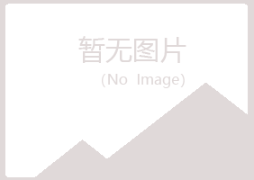 三门峡白山培训有限公司